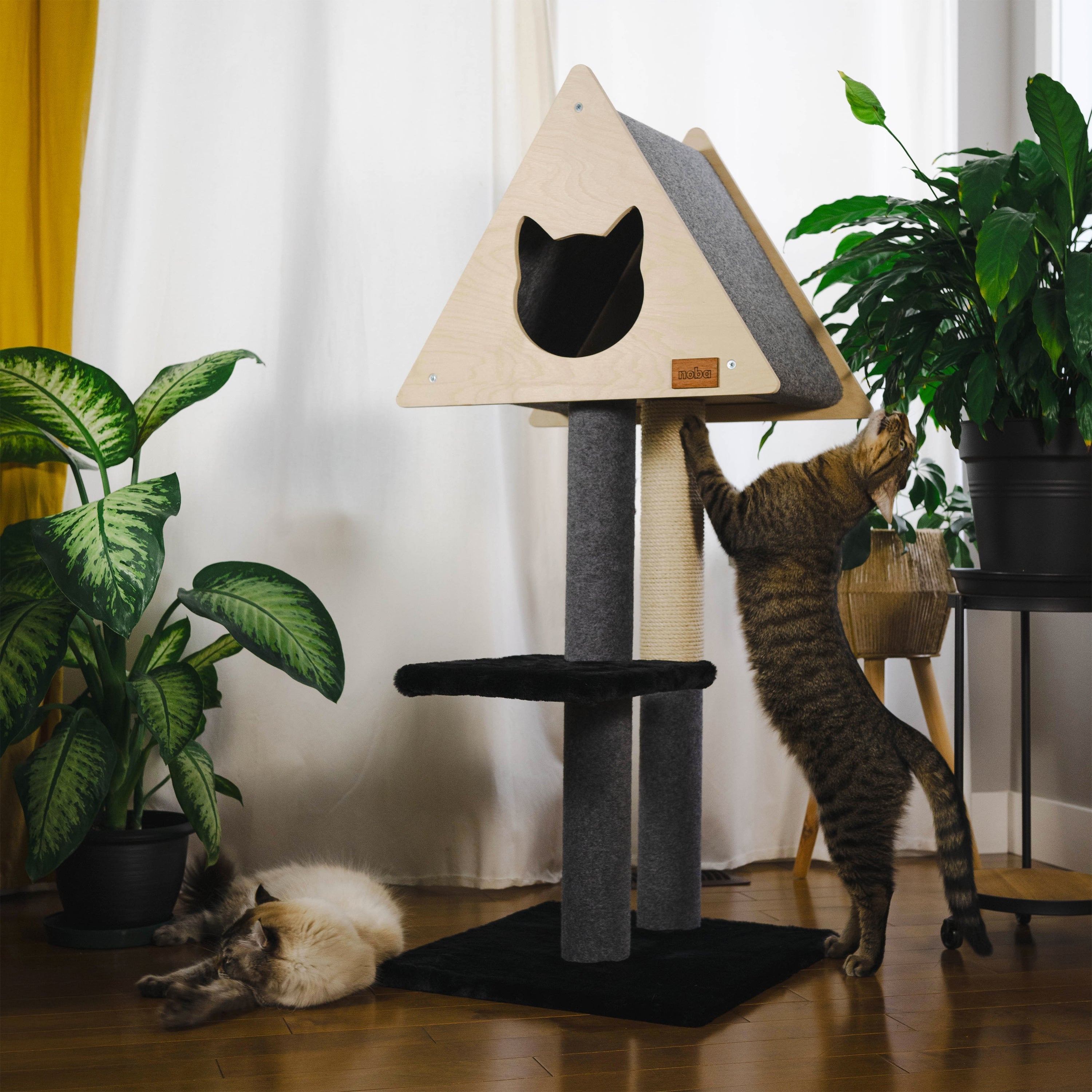 Modern minimalist cat furniture teepee bed in a stylish home setting