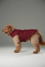 Reversible Dog Vest Jacket -  Red Brown