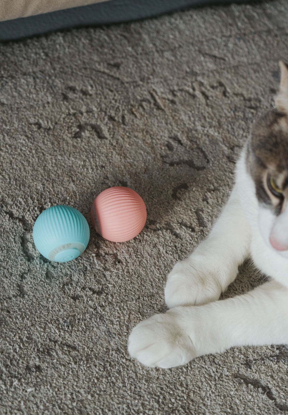 Interactive Pet Ball - Sky Blue (For Cats Only)