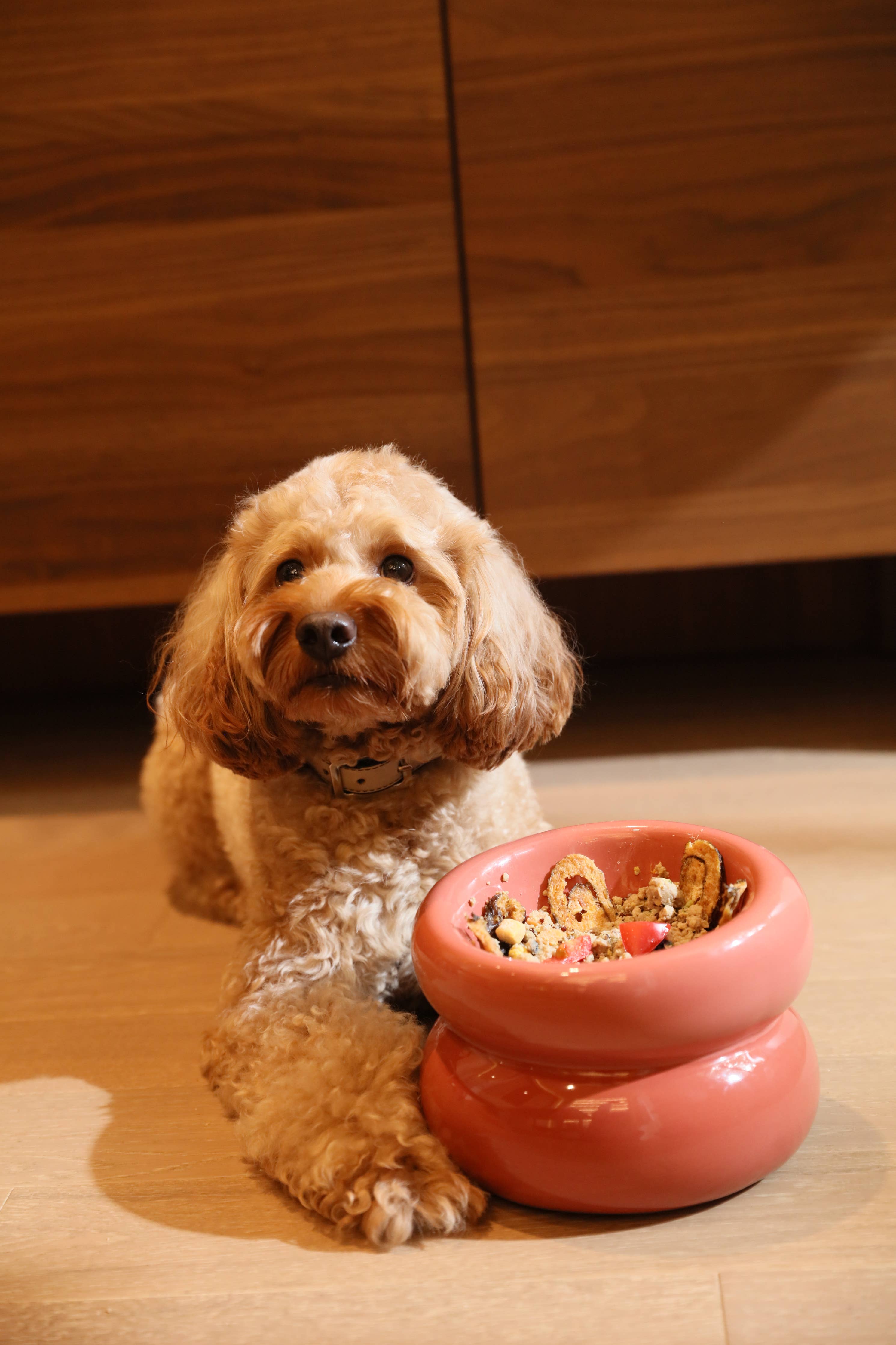 Soufflé Pet Bowl - Rose Pink