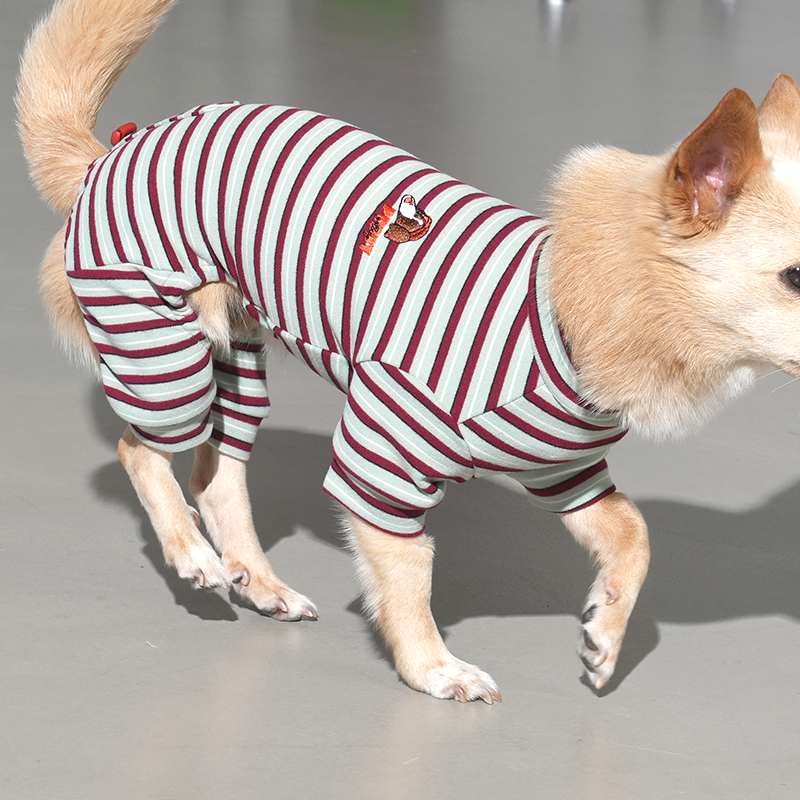 JamJam Stripe All-In-One Dog Jumpsuit – Black
