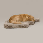 Hide Shape Leak-Resistant Dog Bed – Faux Fur, 5 Colours & 2 Sizes