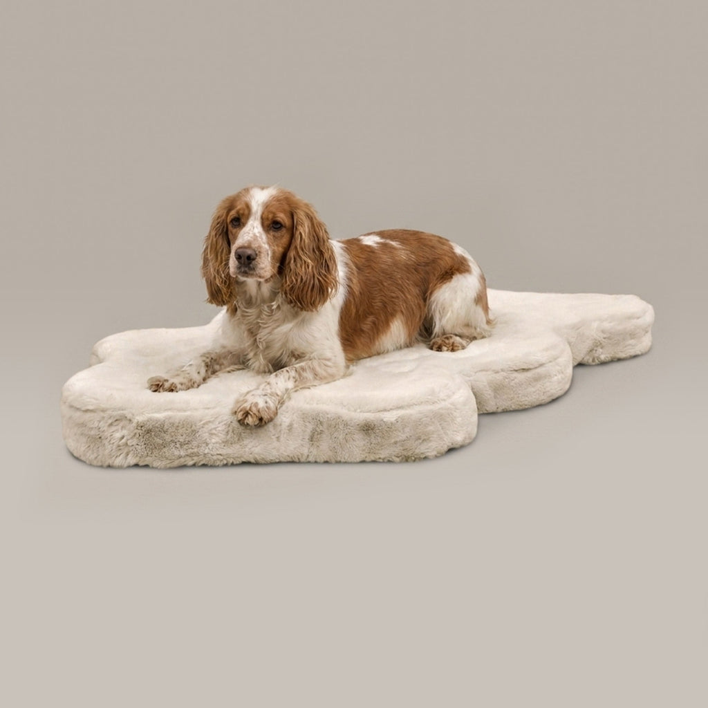 Hide Shape Leak-Resistant Dog Bed – Faux Fur, 5 Colours & 2 Sizes