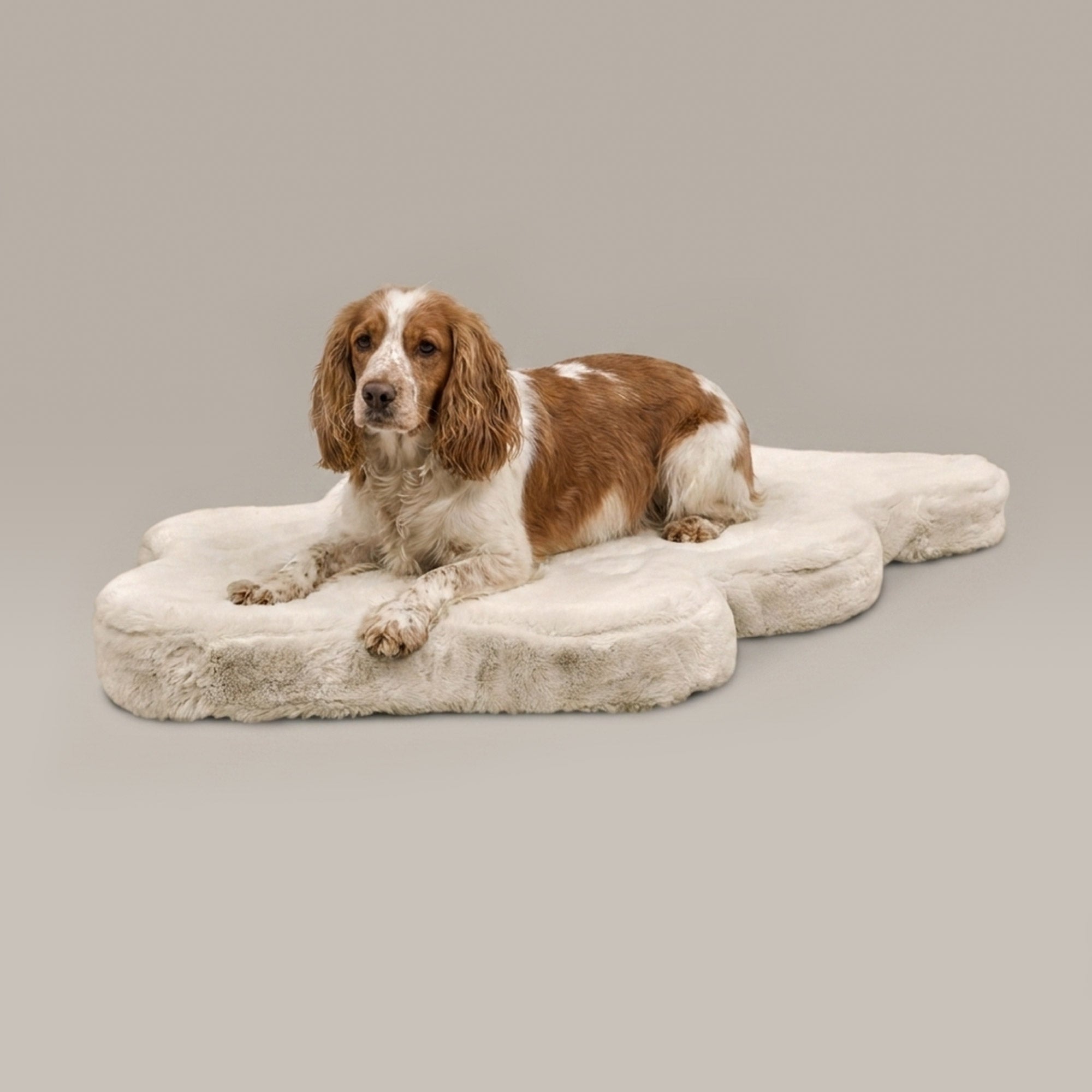Hide Shape Leak-Resistant Dog Bed – Faux Fur, 5 Colours & 2 Sizes