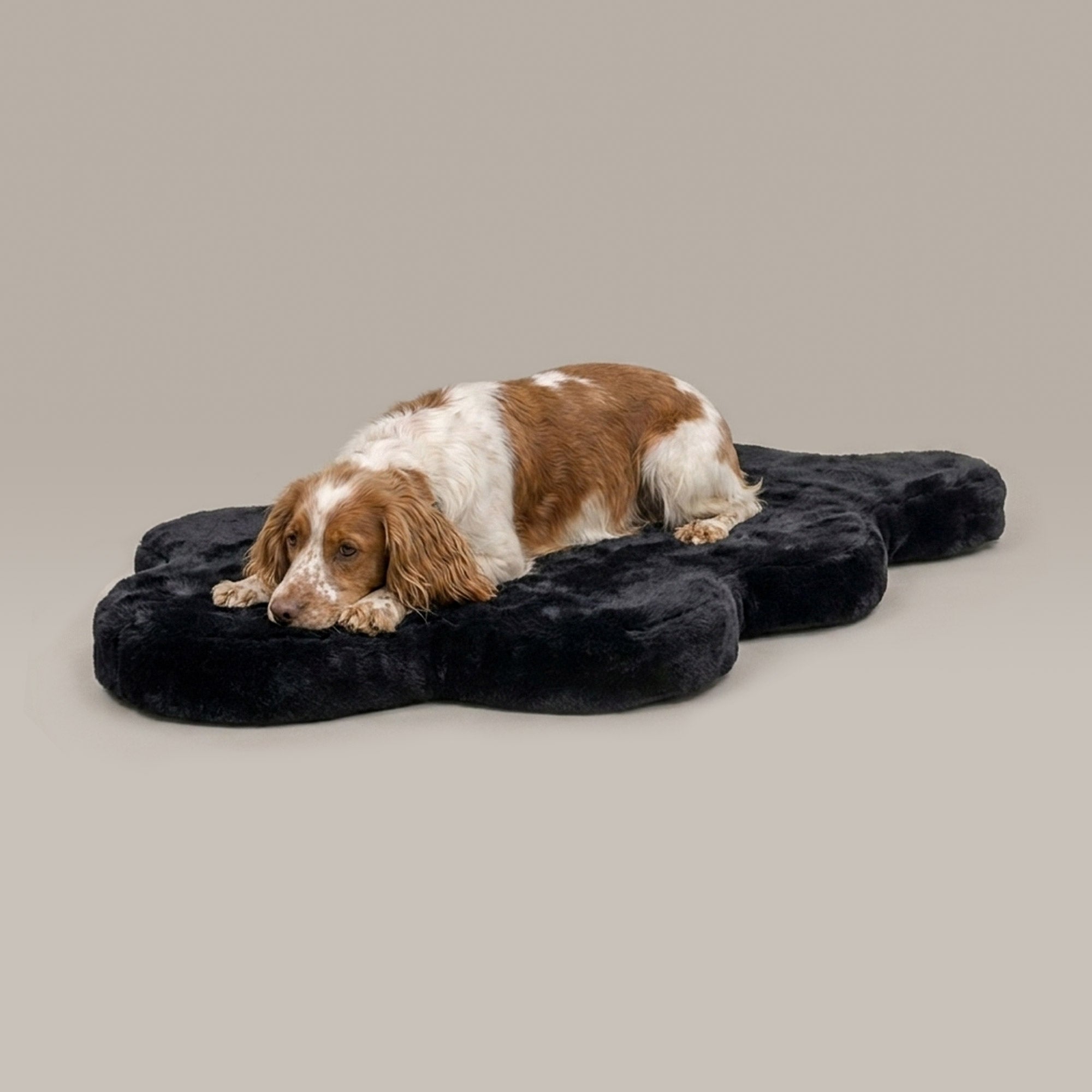 Hide Shape Leak-Resistant Dog Bed – Faux Fur, 5 Colours & 2 Sizes