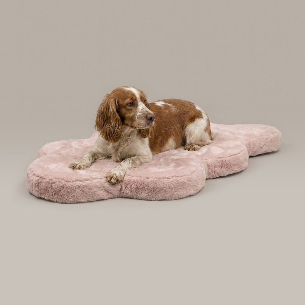 Hide Shape Leak-Resistant Dog Bed – Faux Fur, 5 Colours & 2 Sizes