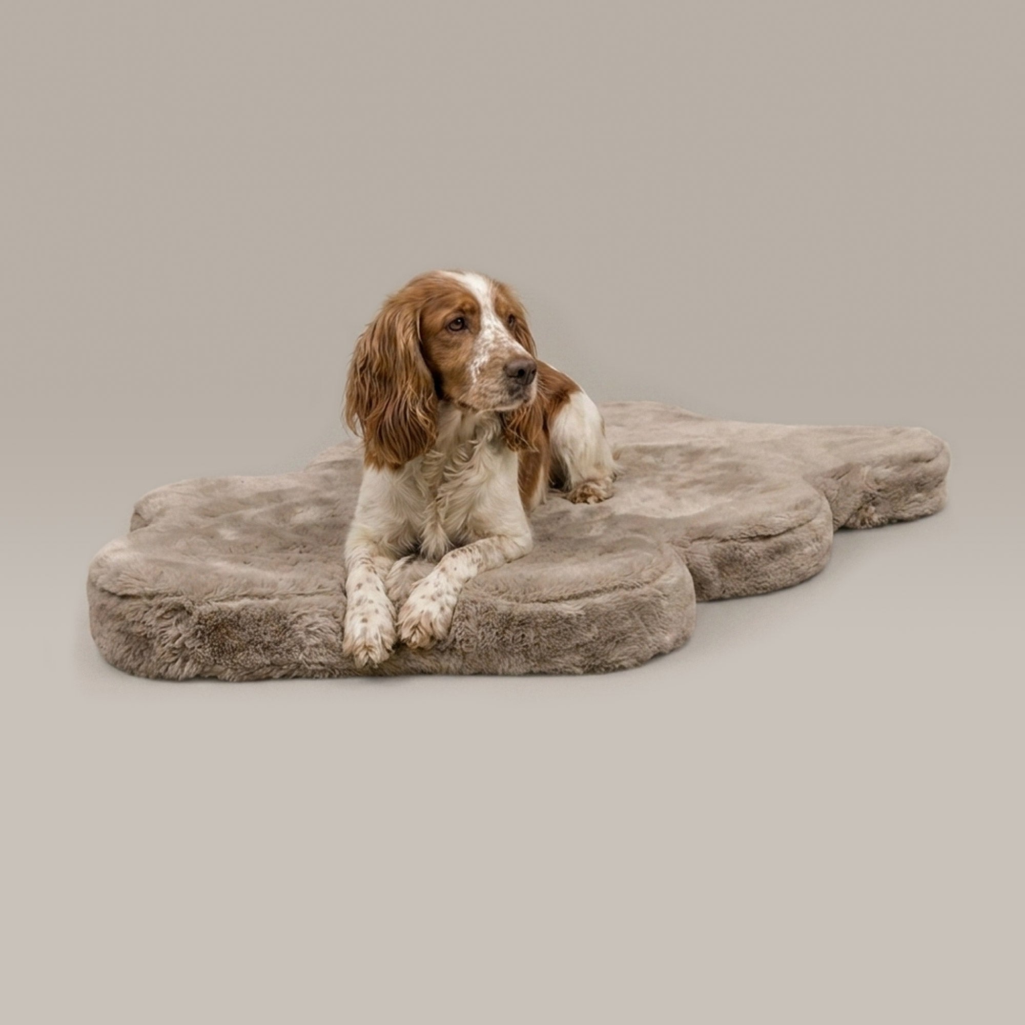 Hide Shape Leak-Resistant Dog Bed – Faux Fur, 5 Colours & 2 Sizes