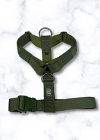 Y Strap Adventure Harness - Cactus Green