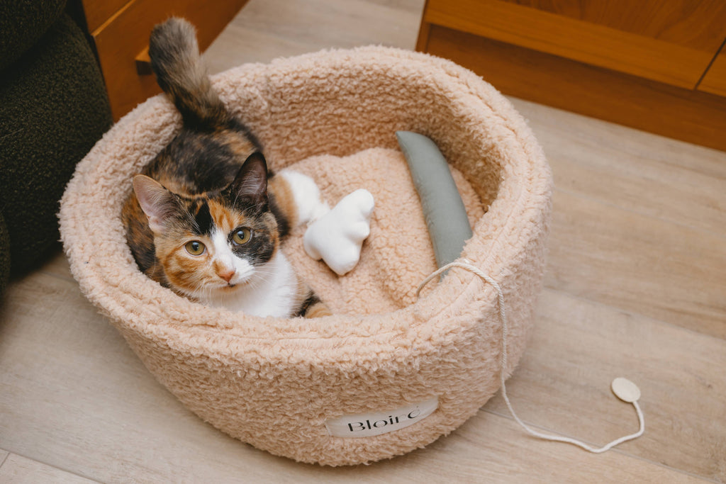 Essential Cat Kicker Toy