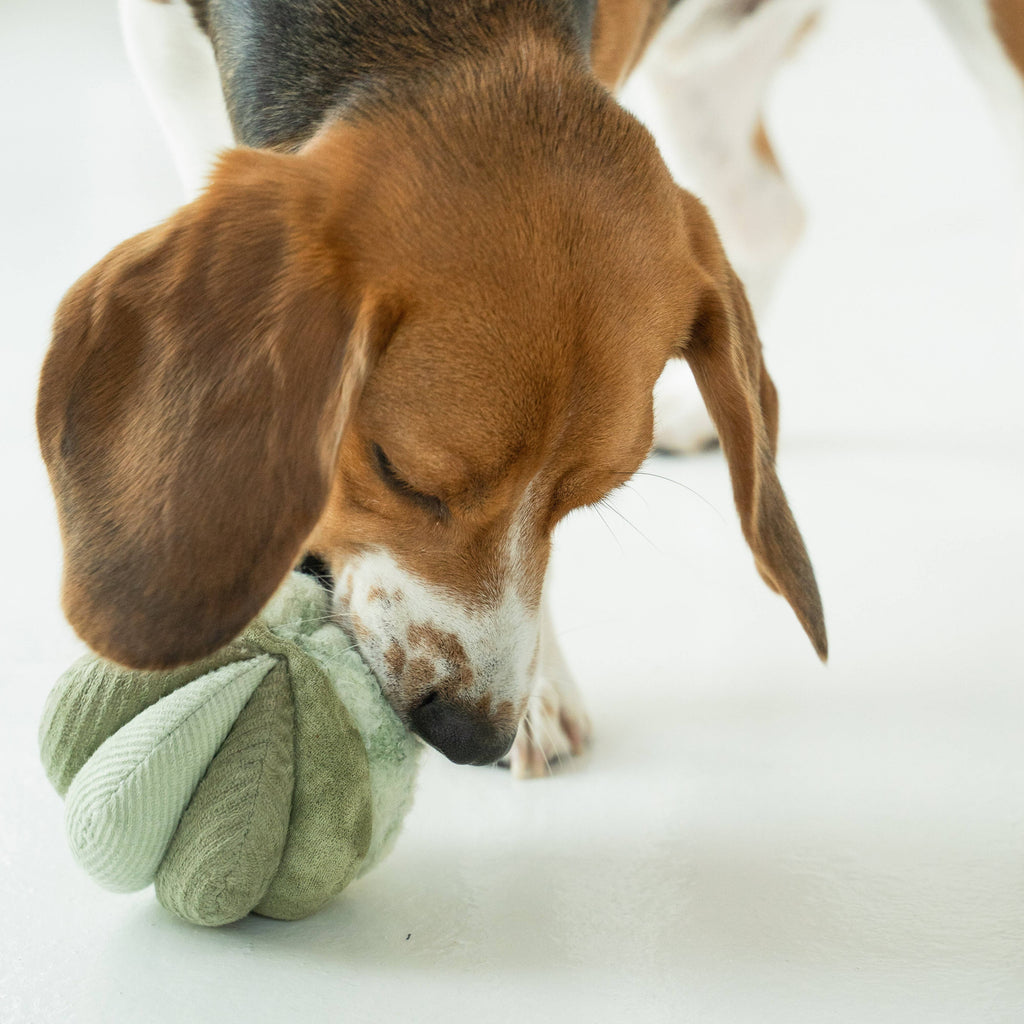 Toto Snuffle Ball – Silent Enrichment Toy (small pets)