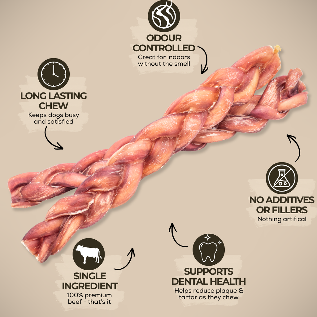 Bully Bunches 12" Thick Braided Bully Stick