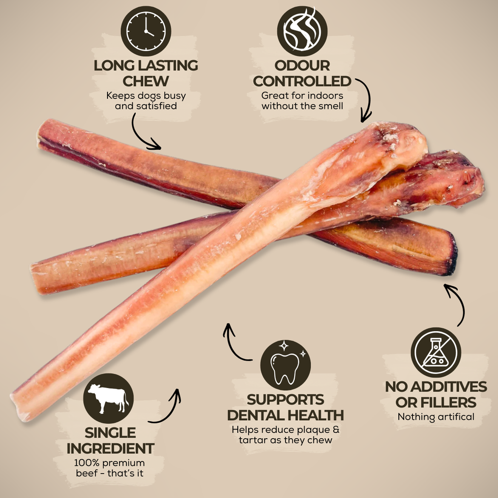 Bully Bunches 12 Inch Monster Bully Stick