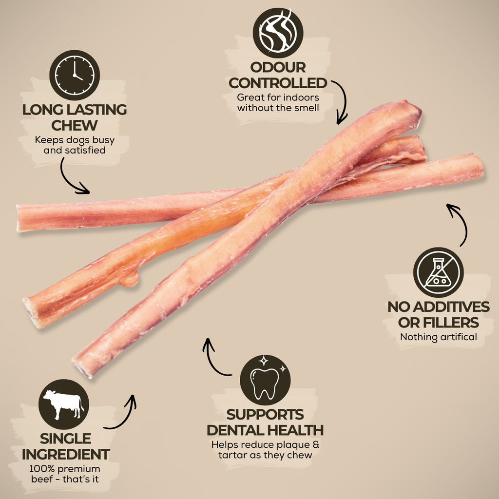 Bully Bunches 12 Inch Standard Bully Stick