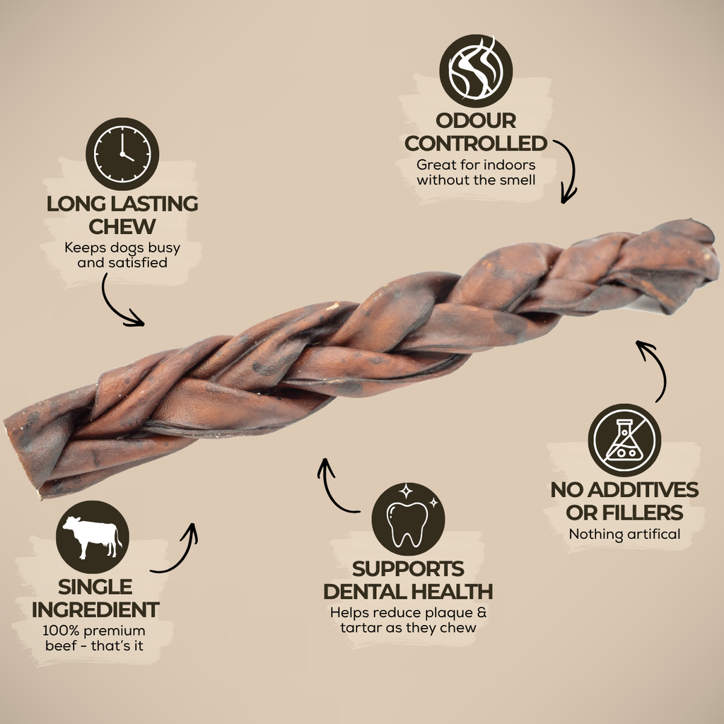 Braided Beef Collagen Stick Dog Chew – 10–12 Inch