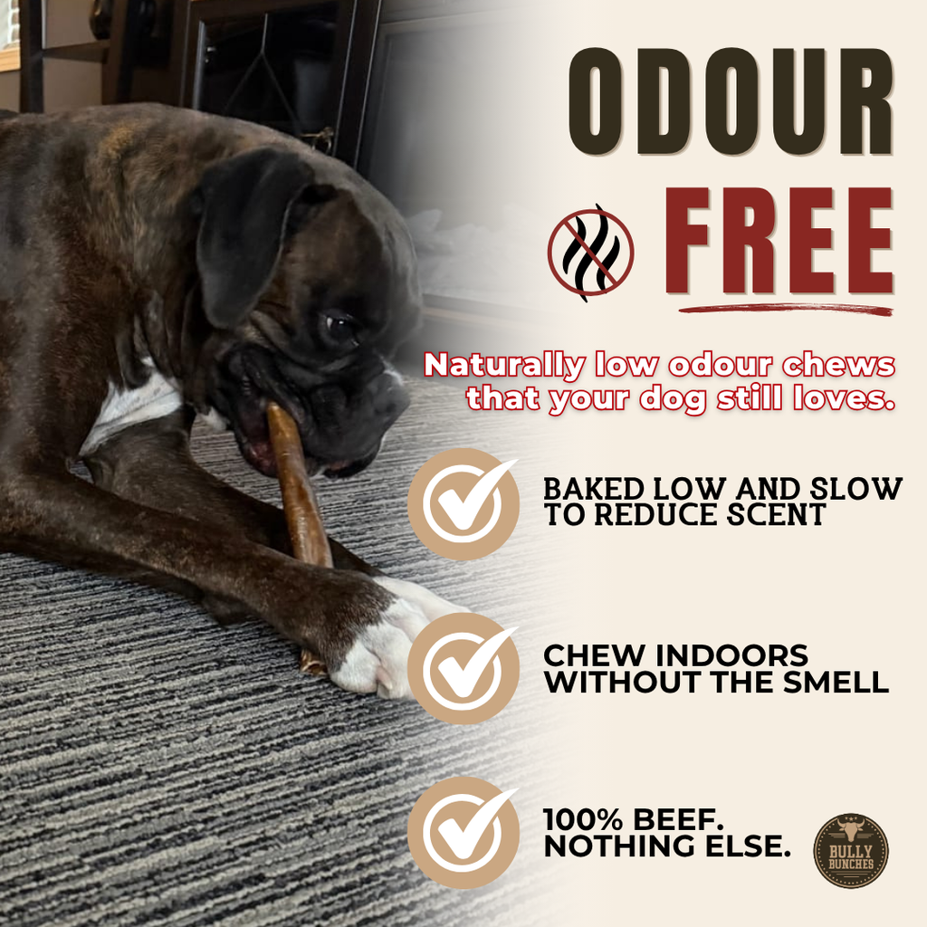 Beef Collagen Stick Dog Chew – 10–12 Inch