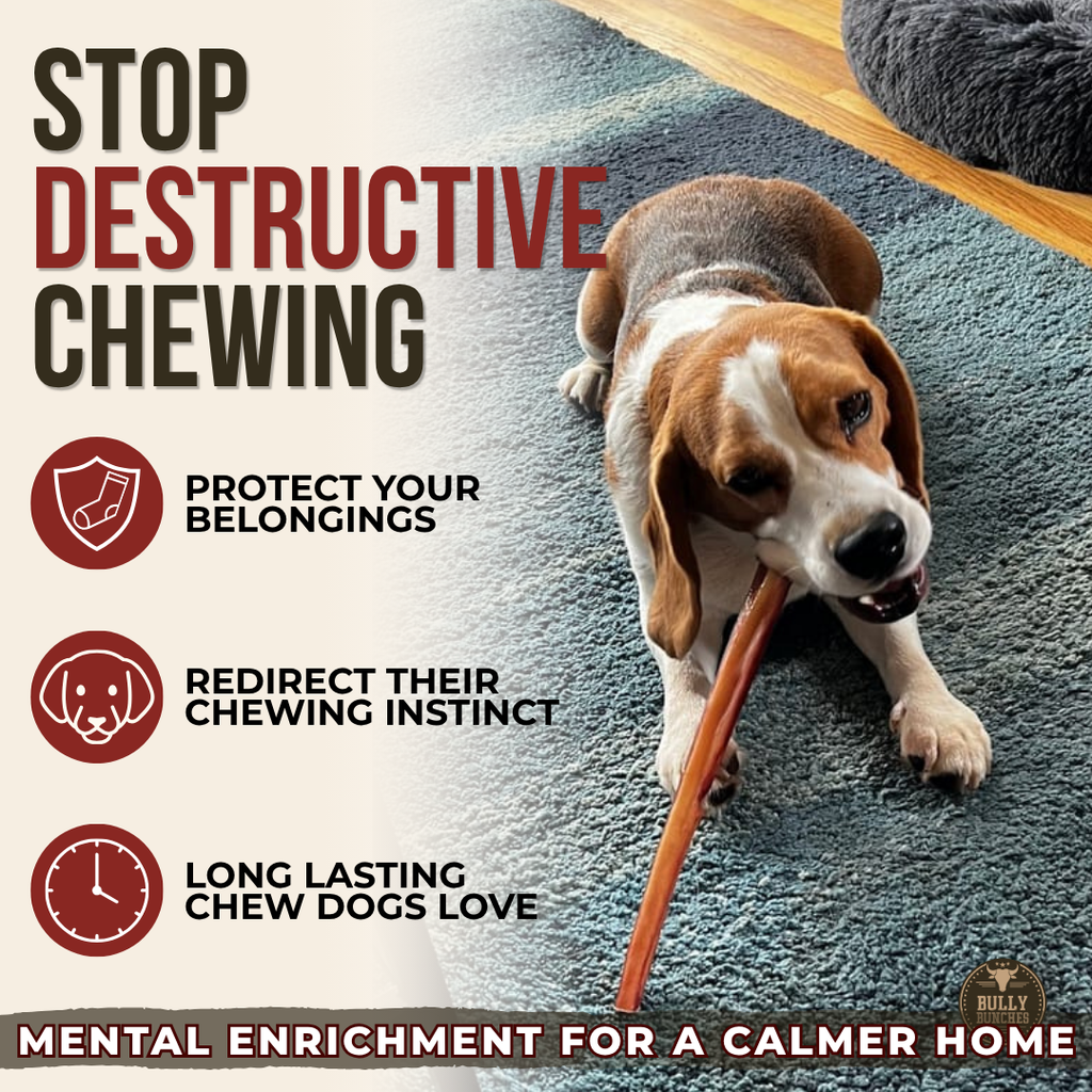 Beef Collagen Stick Dog Chew – 10–12 Inch