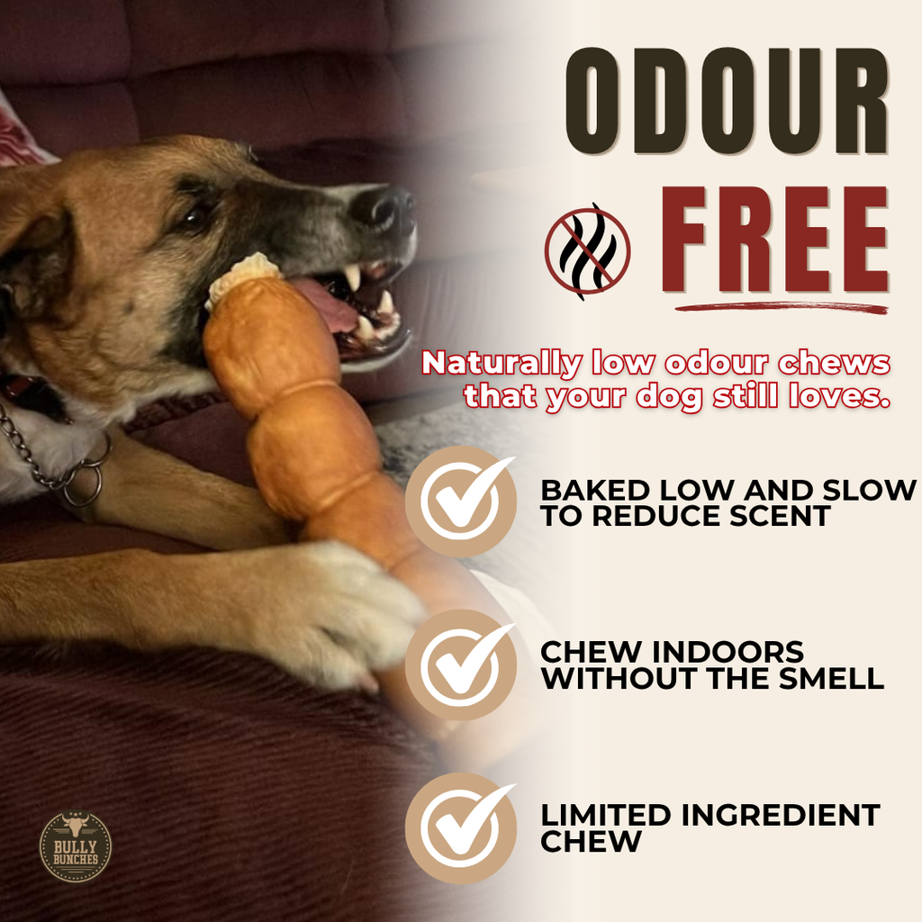 Peanut Butter Beef Cheek Roll for Medium & Large Dogs – 10–12 Inch