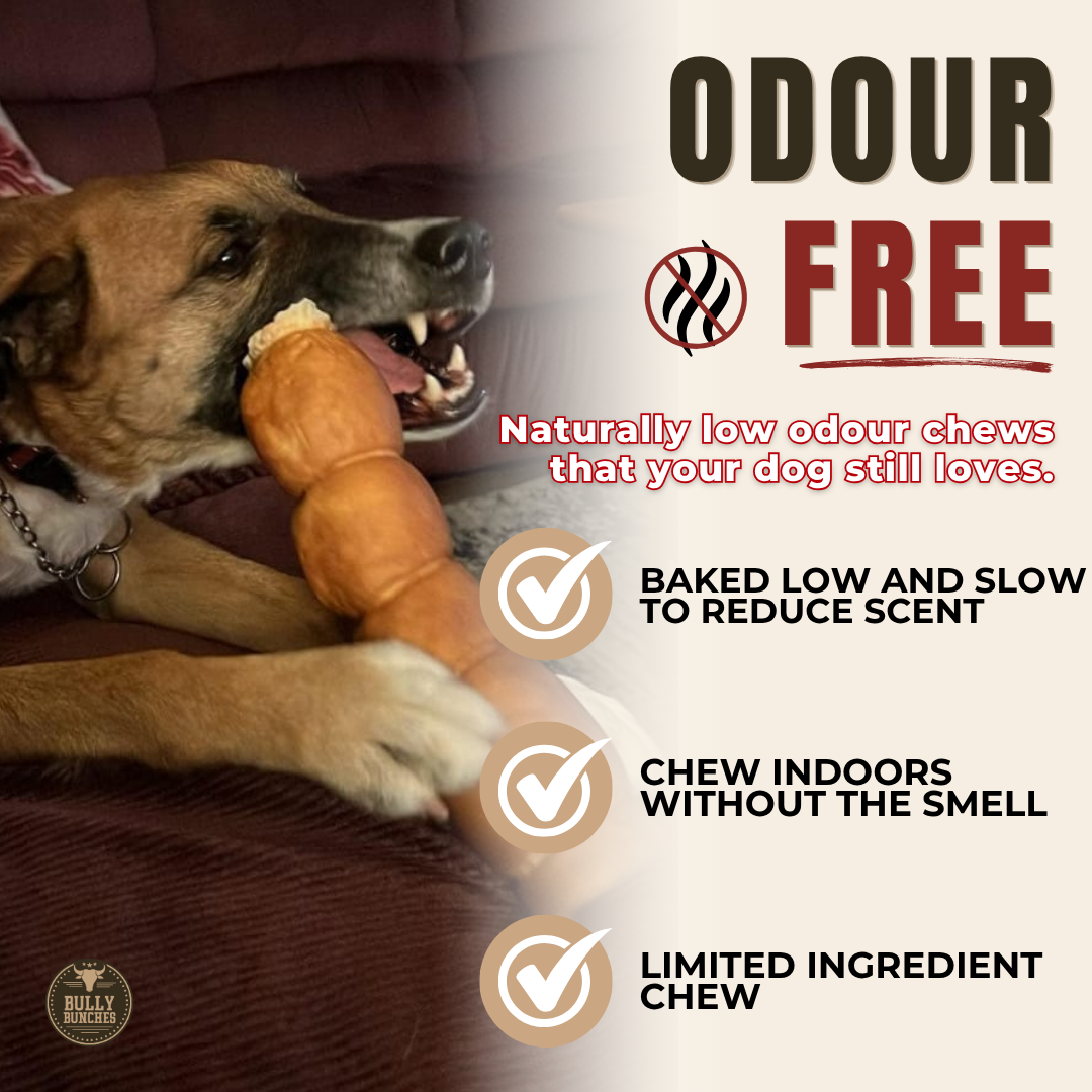 Peanut Butter Beef Cheek Roll for Medium & Large Dogs – 10–12 Inch
