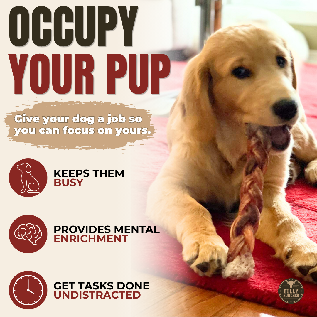 Bully Bunches 12" Thick Braided Bully Stick