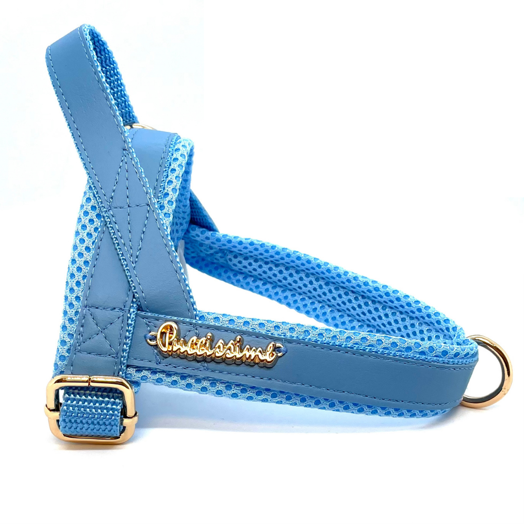 Maya Blue One-Click Dog Harness