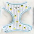 Cocopup London Living La Vida Lemon Adjustable Dog Harness