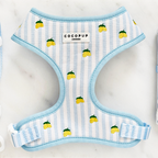 Cocopup London Living La Vida Lemon Adjustable Dog Harness