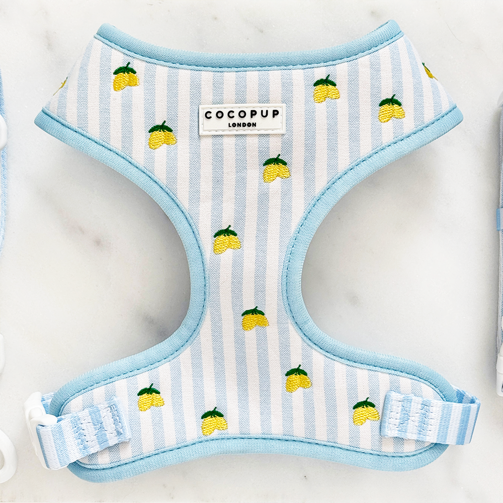 Cocopup London Living La Vida Lemon Adjustable Dog Harness