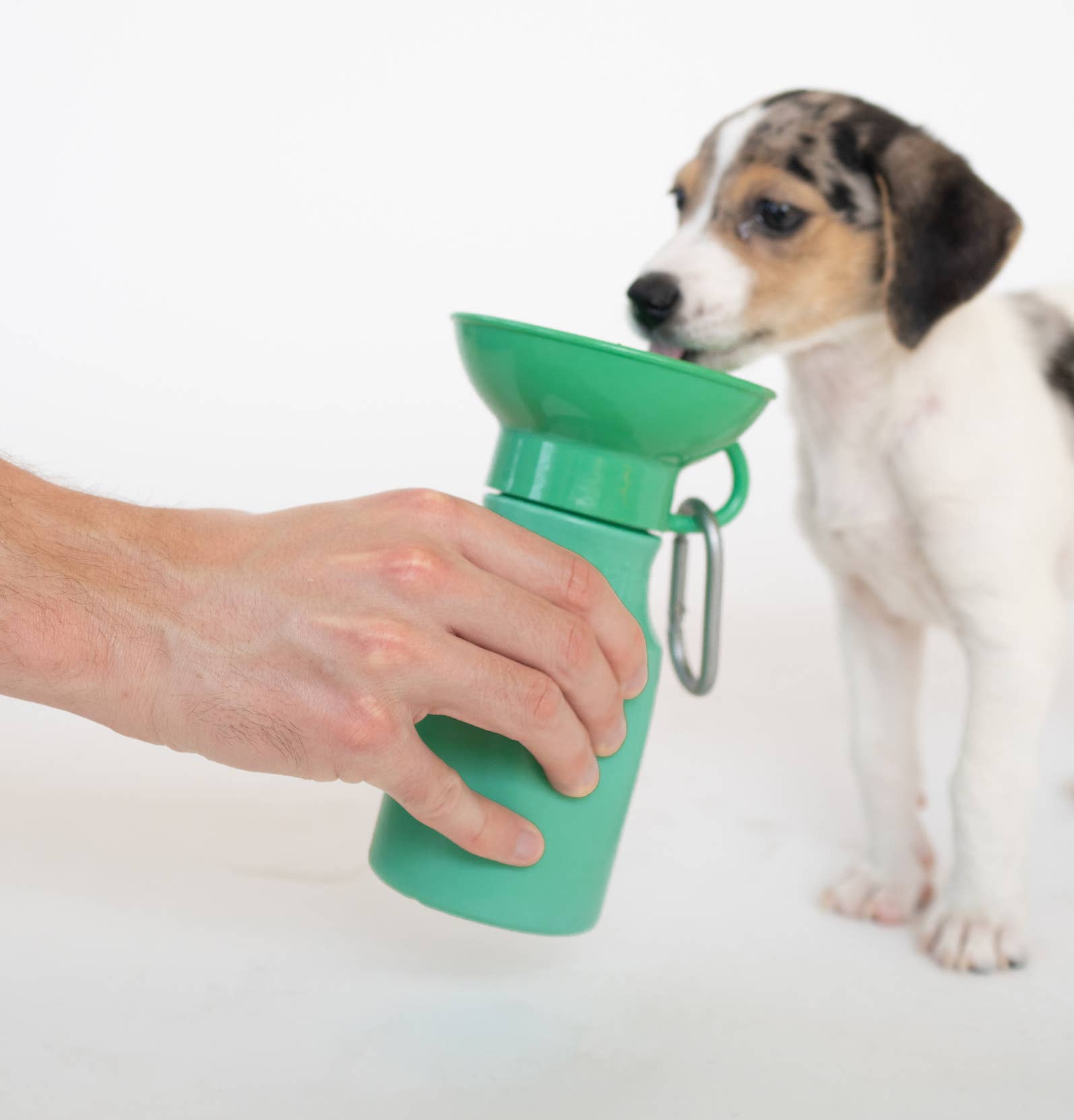 Springland Pets Dog Travel Water Bottle 15 oz | LittleLeashes