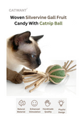 Woven Silvervine Candy Cat Toy with Catnip Ball
