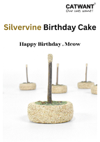 Silvervine Birthday Cake