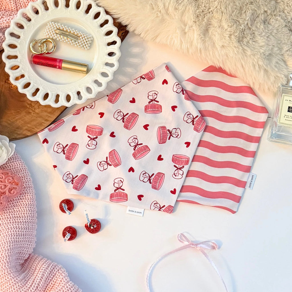 Bark & Main - Champagne and Squiggles