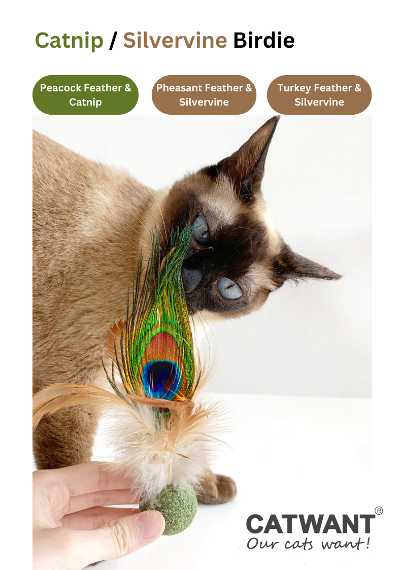 Silvervine / Catnip Birdie