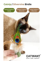 Silvervine / Catnip Birdie