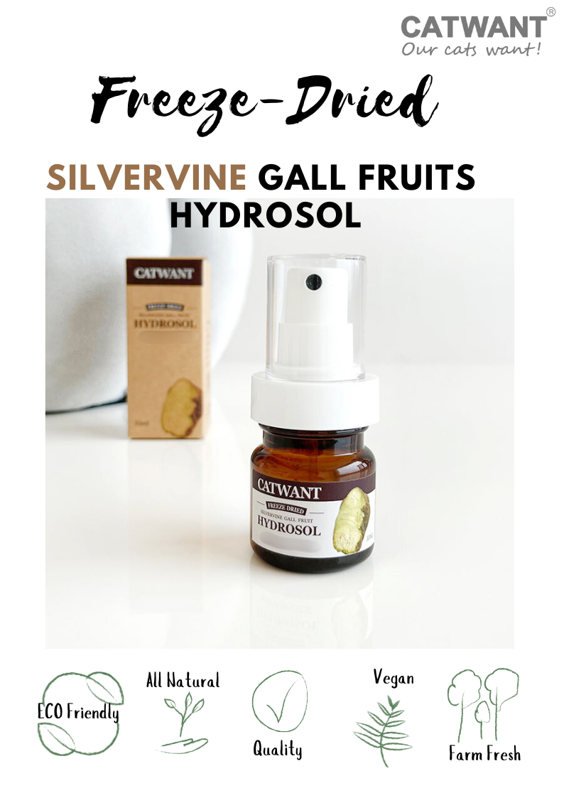 Silvervine Gall Fruit Hydrosol Spray for Cats – 35ml