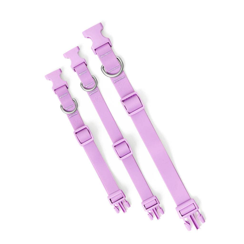 Waterproof & Adjustable Dog Collar - Lilac