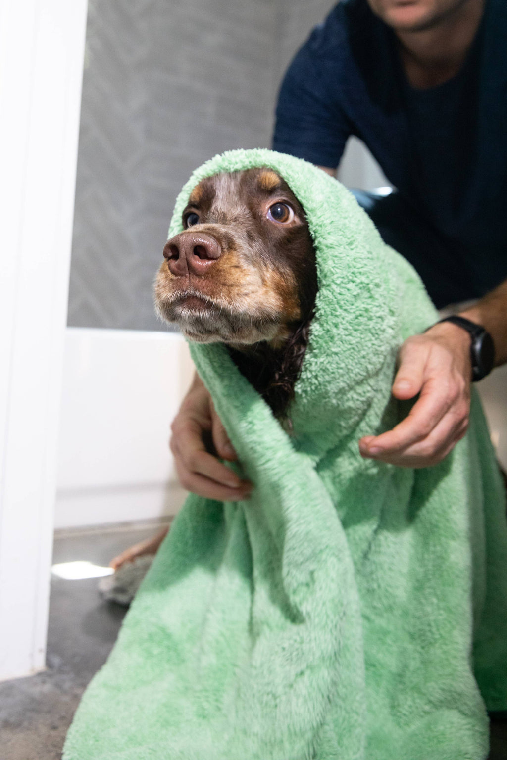Two Tails Pet N' Dry Microfiber Pet Towel