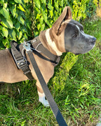 Heavy-Duty Everyday Harness - Black