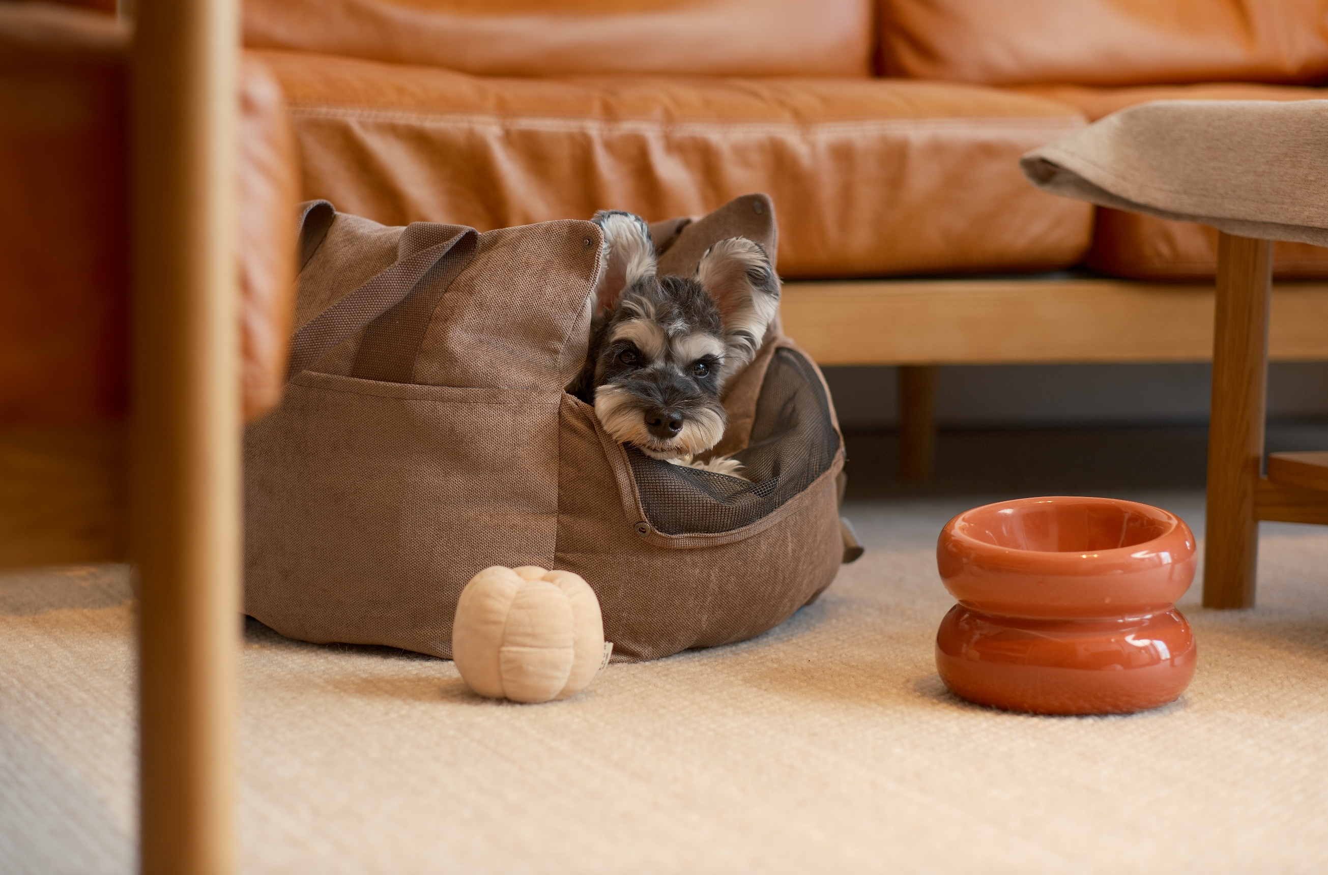 Soufflé Pet Bowl - Rose Pink