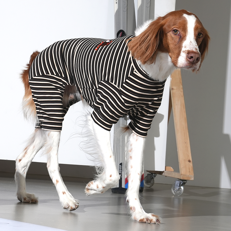 JamJam Stripe All-In-One Dog Jumpsuit – Black