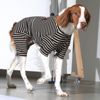 JamJam Stripe All-In-One Dog Jumpsuit – Black