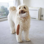Mini Baguette – Enrichment Snuffle Toy (small pets)