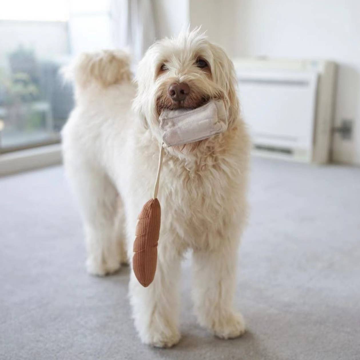 Mini Baguette – Enrichment Snuffle Toy (small pets)