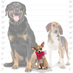 Mighty Jr Microfiber Ball Rabbit