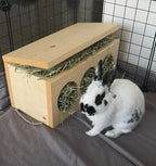 Hay Box for Bunnies & Guinea Pigs
