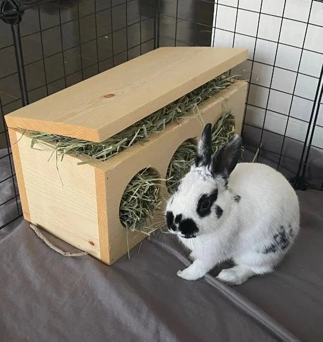 Hay Box for Bunnies & Guinea Pigs