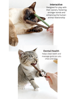 Silvervine Gall Fruit / Catnip Biscuit Sticks - 8pcs