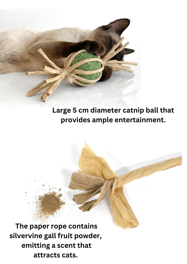 Woven Silvervine Candy Cat Toy with Catnip Ball