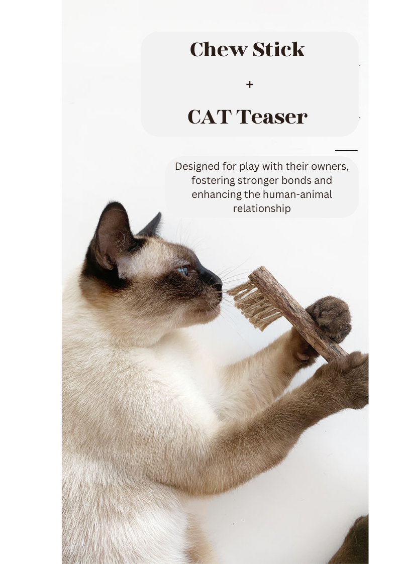 Silvervine Toothbrush