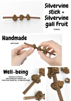Silvervine  Gall Fruit Kebab