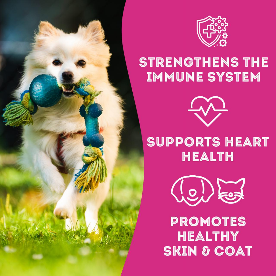 Wild Salmon Freeze-Dried Pet Treats: High-Protein & Natural